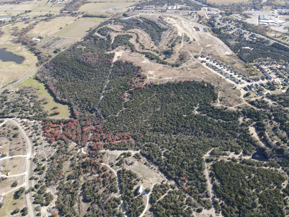 Aerial view of cleared lanes cut through a large cedar tract, land clearing