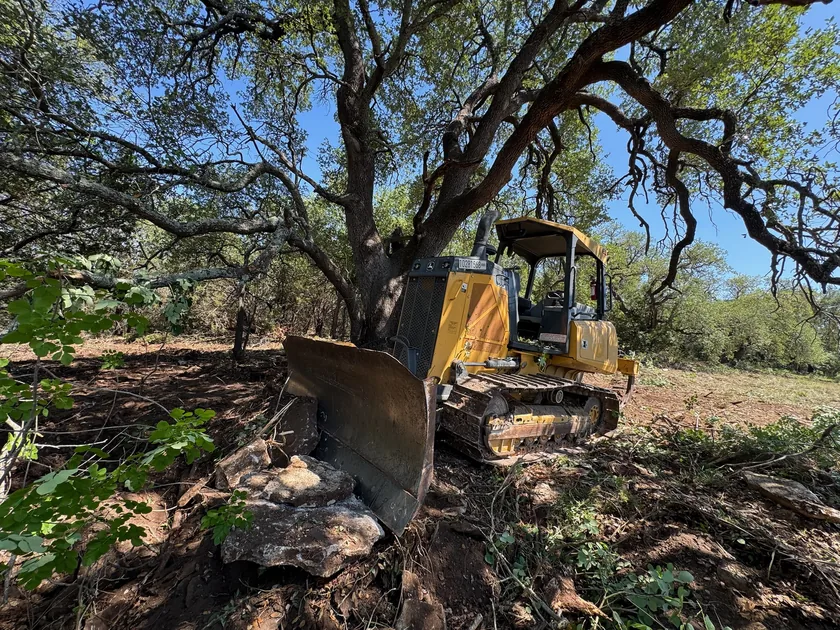 Dozer clearing brush under a large oak tree, land clearing