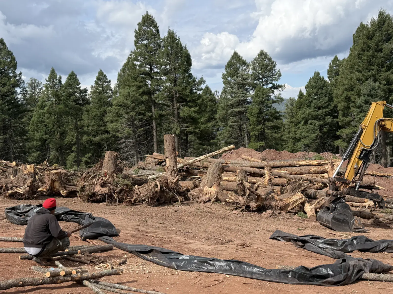 Uprooted stumps and cut logs piled by an excavator beside rolls of silt fence, land clearing