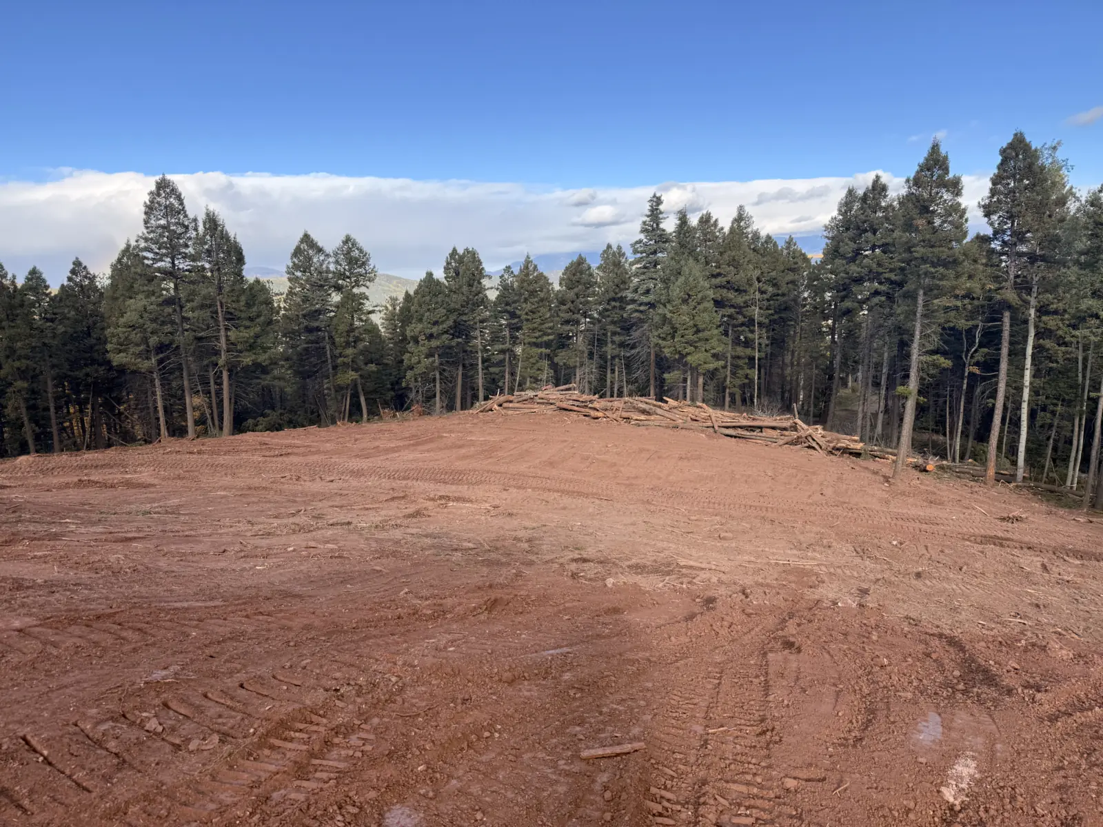 Cleared lot of red soil with cut logs windrowed along the tree line, land clearing