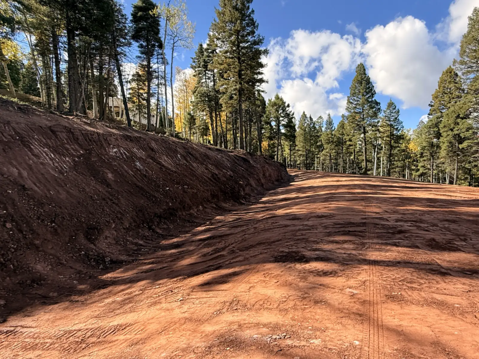 New road cut along a fresh earth bank through the pines, road building